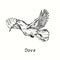 Dove flying with twig. Ink black and white doodle drawing in woodcut outline style.