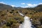 Dove lake hiking trail at Cradle Mountain