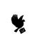 Dove letter carrier  silhouette, vector