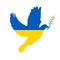 Dove of peace carrying an olive branch in its mouth. Ukraine colors