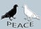 Dove of peace icon. Peace concept. Pacifism concept. Two doves in black and white color. Outline pigeon. Can be used for creative