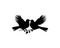 Dove peacemaker silhouette, vector