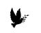 Dove peacemaker silhouette, vector. Dove illustration, symbol of peace. Flying dove holding branch isolated on white