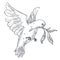 Dove or pigeon with olive branch isolated bird sketch