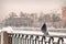 Dove sits on the parapet of embankment in winter during snowfall against the background of the old city