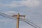 A dove stood atop an electric pole. Behind a bright blue sky in the national park of Thailand Khao Yai National Park. Outdoor a