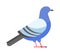 Dove vector icon illustration cartoon style bird