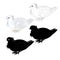 Dove white ornamental pigeon cute small birds outline and silhouette  on a white background  vintage vector illustration editable
