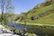 Dovedale river and valley, Derbyshire, UK