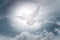 Doves fly in the sky. Christians have faith in Holy Spirit. silhouette worship to god with love Faith, Spirit and jesus christ.