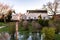 Doves flying into nesting box in the beer green of the rural idyllic River Trent side public house and restaurant during evening