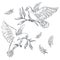 Doves or pigeons with olive branch or twig in beak isolated sketches