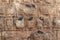 Doves sit on a vertical ancient stone wall