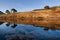 dovestone reflection with trees