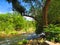 Down river view of mountain stream in California mountains