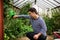 Down syndrome adult man watering plants in greenhouse, gardening concept.