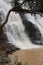 Down View of Tirathgarh Waterfall with a small tree in front of it