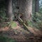 Downed wooden cross at an old graveyard in the forest