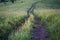 Downhill country dirt road winding in tall grass in Altai Mountains, Kazakhstan, at dusk