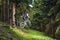 Downhill mountain biker in a forest near Kronberg, Germany