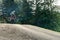 Downhill mountain biker jumping high and riding hard in Lenzerheide in the Swiss Alps