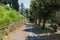 Downhill road in Cortona, Italy