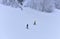 Downhill skier. Snowboarders and skier ride on snow in the mountains. Downhill ride. Adventure skiers season. Skiing and