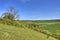 Downland Landscape of South West England
