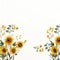 Downloadable sunflower border