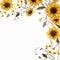 Downloadable sunflower border