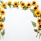 Downloadable sunflower border