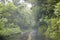 Downpour Rain on Road in Maui Hawaii Storm