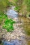 Downstream A Small Peaceful Stream With Rocky Bank