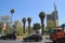 Downtown by day. Buildings, palm trees and cars on the road