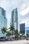 Downtown Miami's cityscape, towers and green palms.
