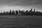 Downtown Vancouver under a cloudy sky.   Black and white    BC Canada