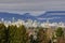 Downtown Vancouver view from Queen Elizabeth Park