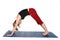 Downward Facing Dog yoga position