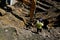 Downward look at excavating machine digging a hole