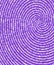 Downward Spiral in Purple