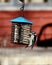 Downy woodpecker at a suet feeder