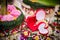 Dowry on flower tray in Thai traditional wedding