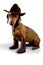 Doxie dog wearing cowboy hat and boots