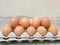 Dozen of chicken egg for cooking breakfast in the egg storage tray, 2 row of egg,Easter egg for hiding