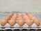 Dozen of chicken egg for cooking breakfast in the egg storage tray with blur background, Easter egg for hiding