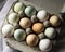 Dozen of multicolored fresh farm eggs in container