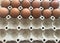 Dozen of organic chicken eggs in paper egg tray