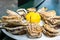 A dozen oysters on a plastic plate