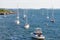 Dozen White Sailboats on Blue Water
