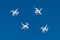 Dozens of drones swarm in the blue sky. Quadcopters drones with digital camera in the air over city. New technology in the aero